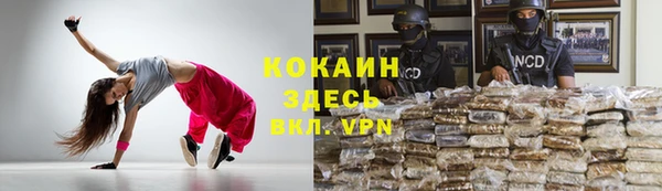 мдма Новодвинск