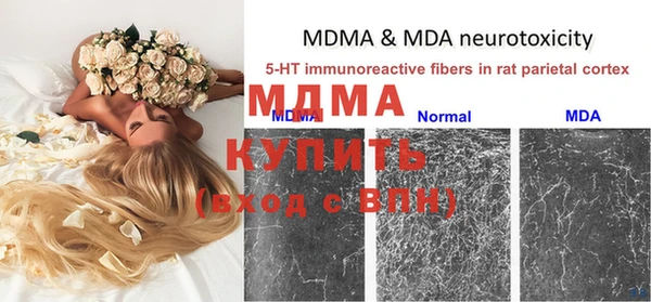 марки lsd Новозыбков