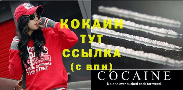 мдма Новодвинск