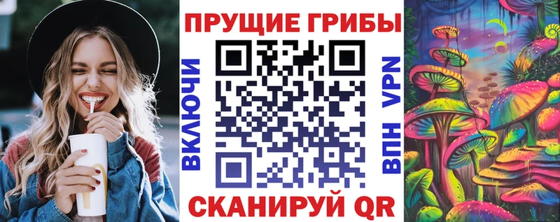Галлюциногенные грибы Psilocybe  Лодейное Поле 